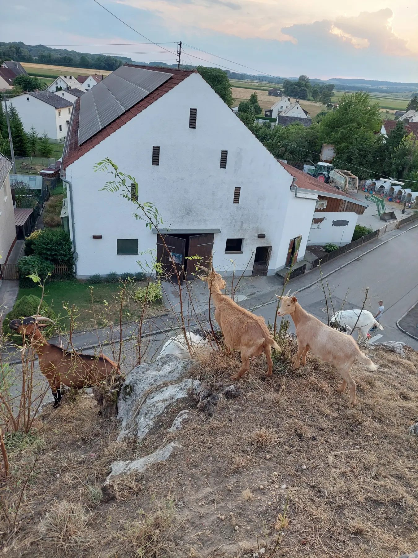 Biergarten